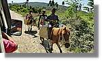 Haiti_800.jpg