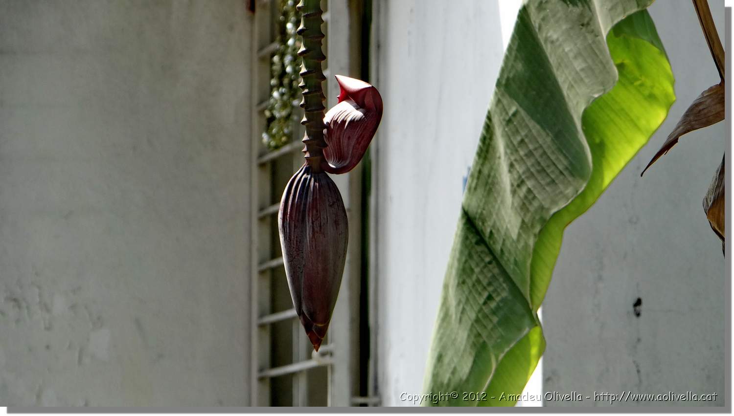 Haiti_H_085.jpg