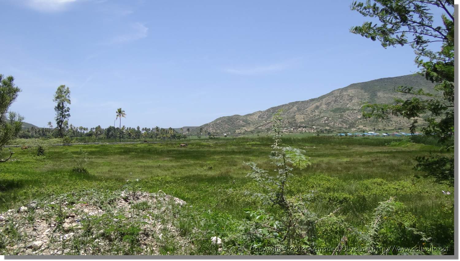 Haiti_JR_158.jpg