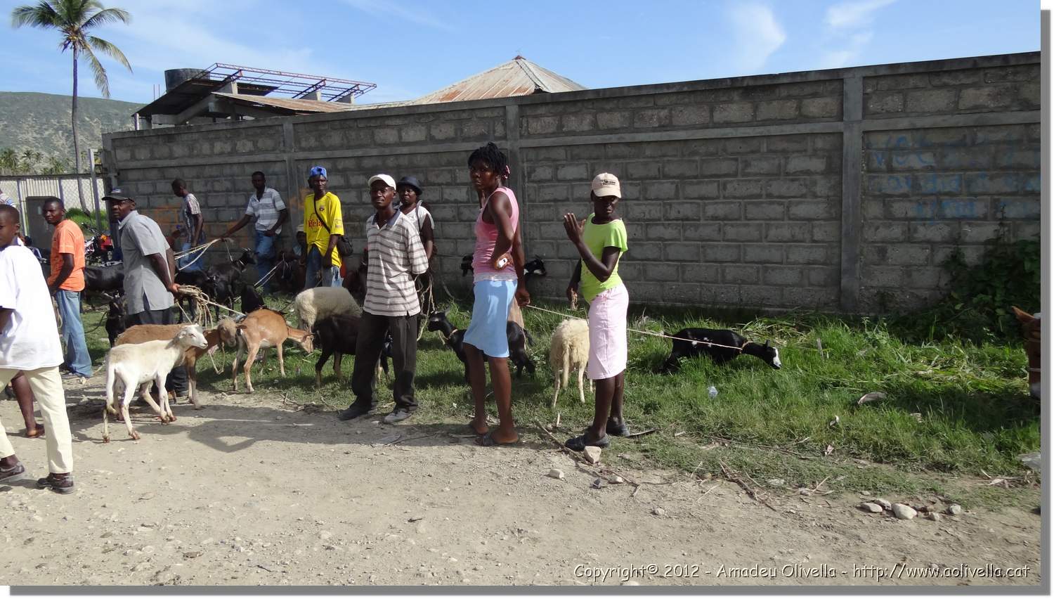 Haiti_JR_181.jpg