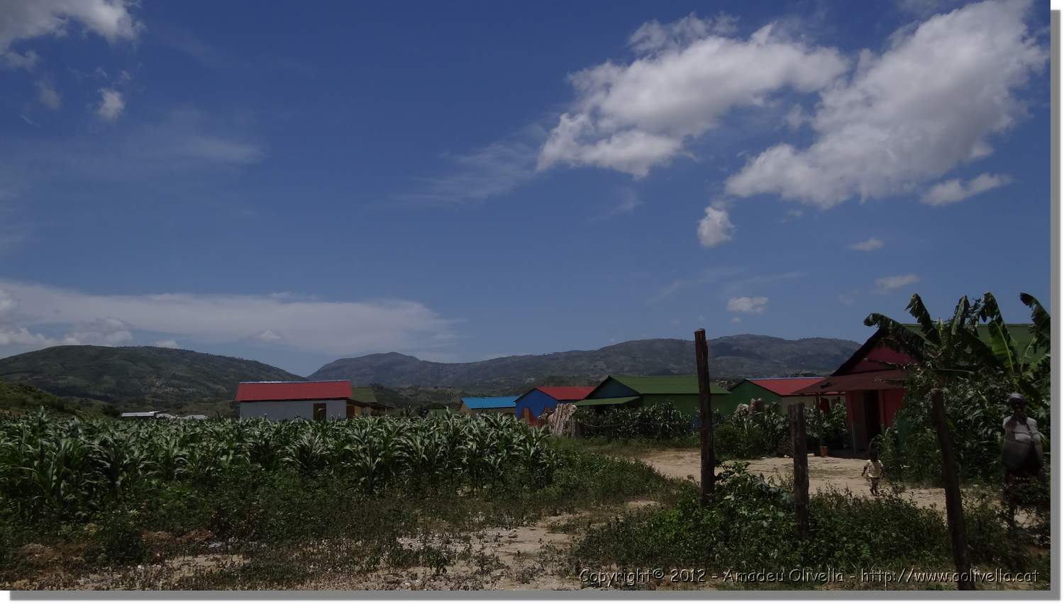 Haiti_JR_186.jpg