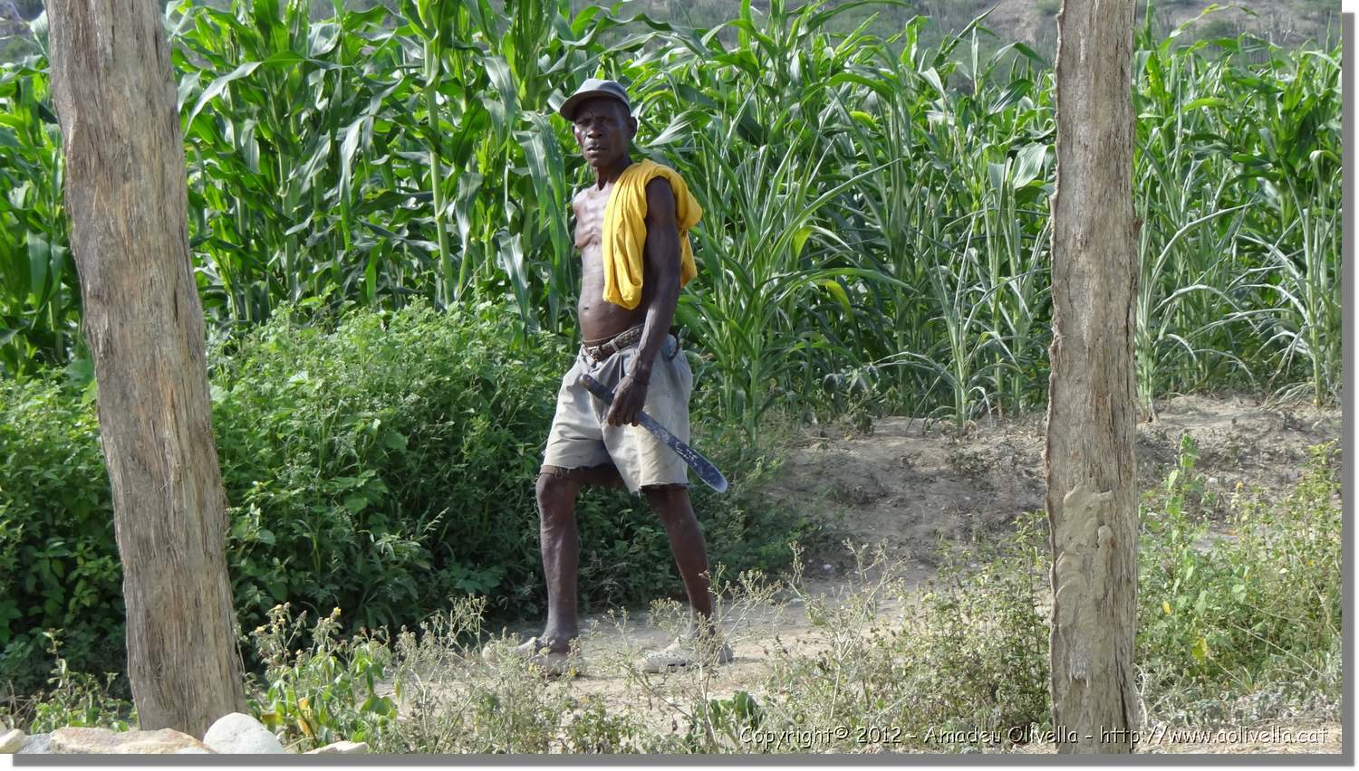 Haiti_JR_228.jpg
