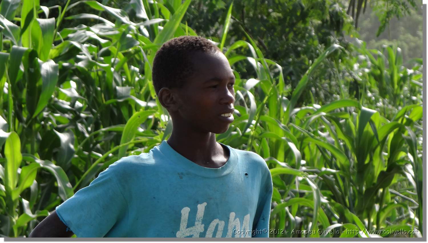 Haiti_JR_229.jpg