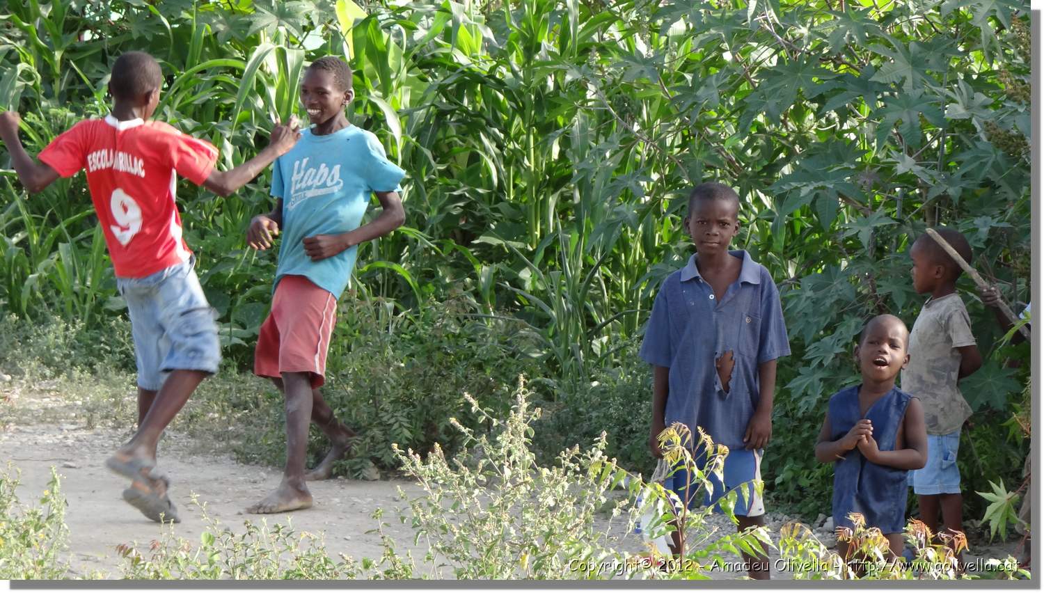 Haiti_JR_236.jpg