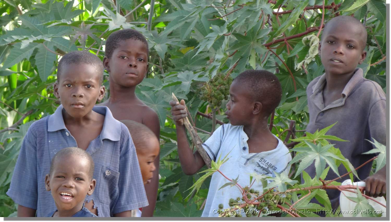 Haiti_JR_237.jpg