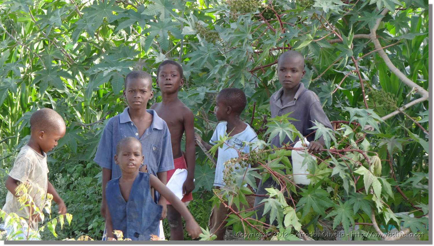 Haiti_JR_239.jpg
