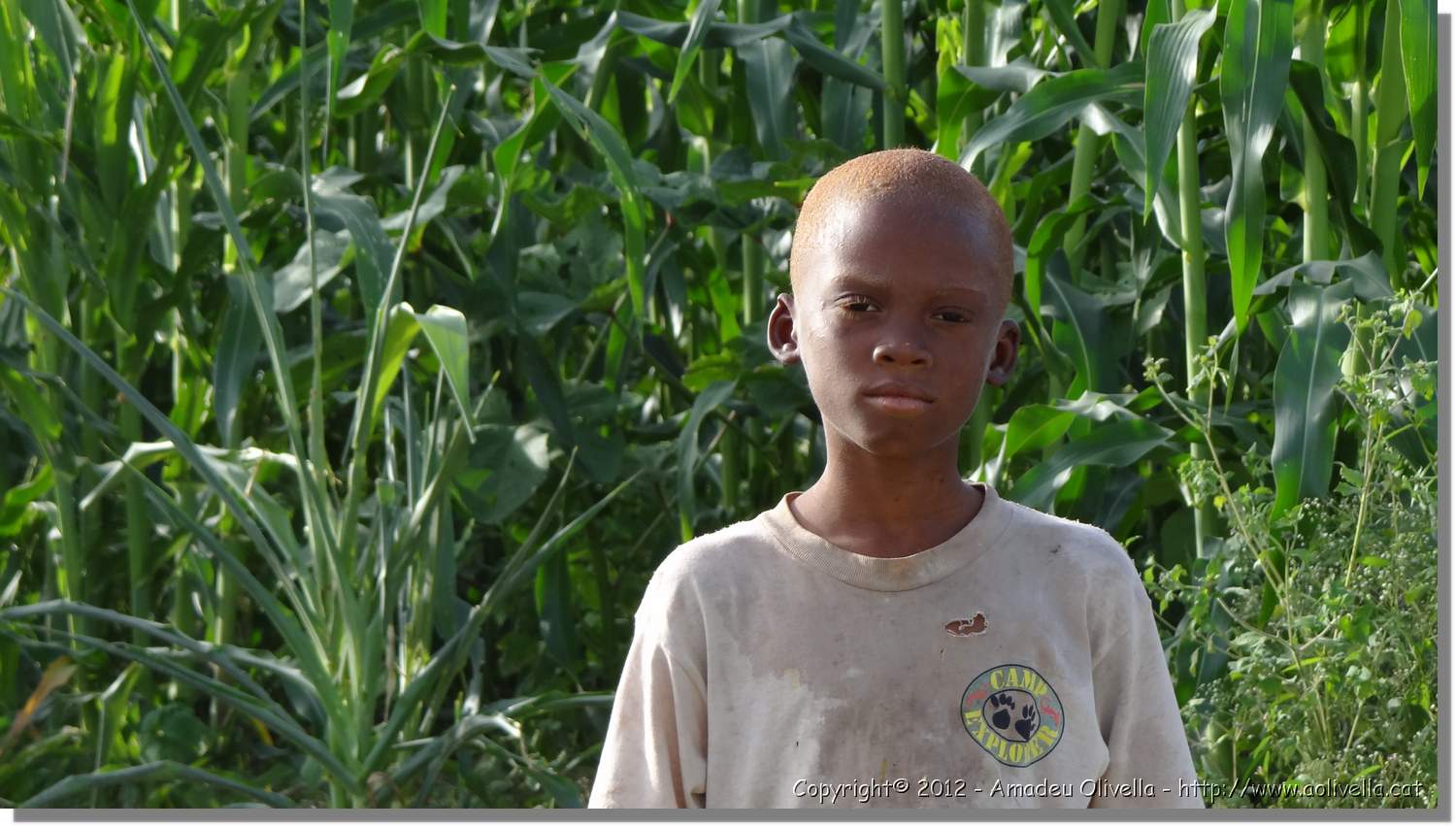 Haiti_JR_245.jpg
