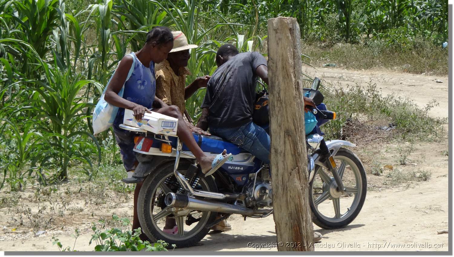 Haiti_JR_306.jpg