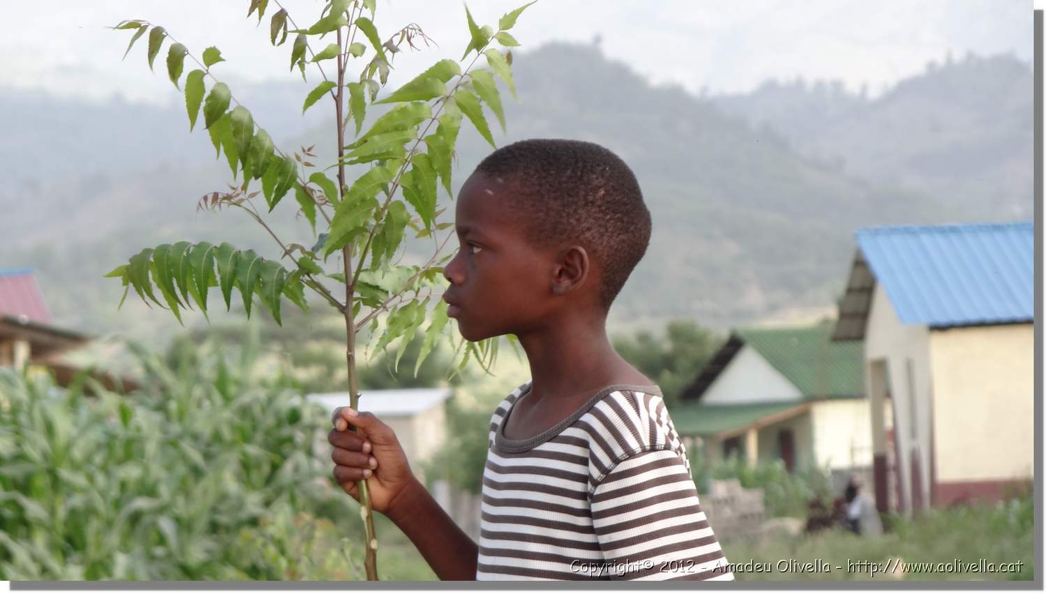 Haiti_JR_310.jpg