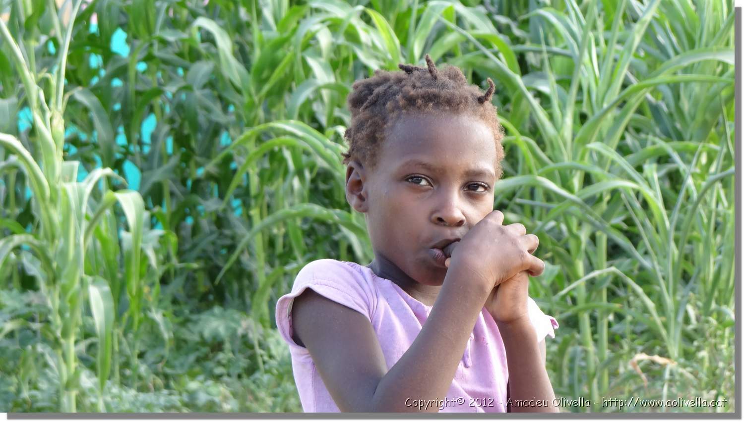 Haiti_JR_317.jpg