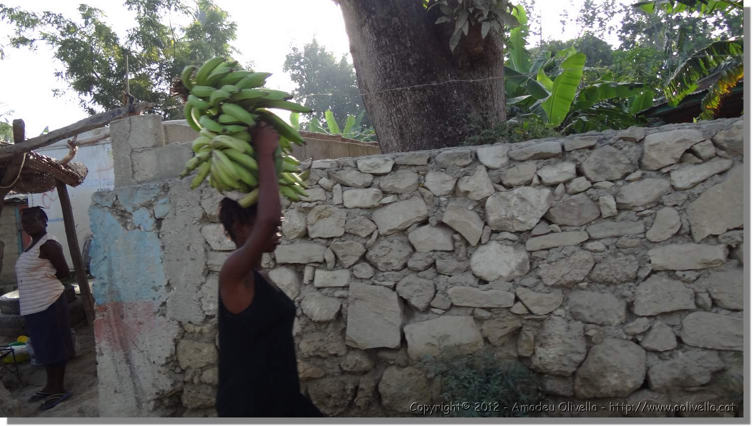 Haiti_JR_333.jpg