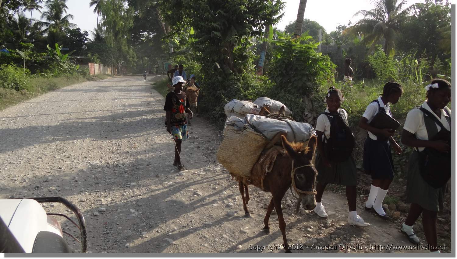 Haiti_JR_335.jpg