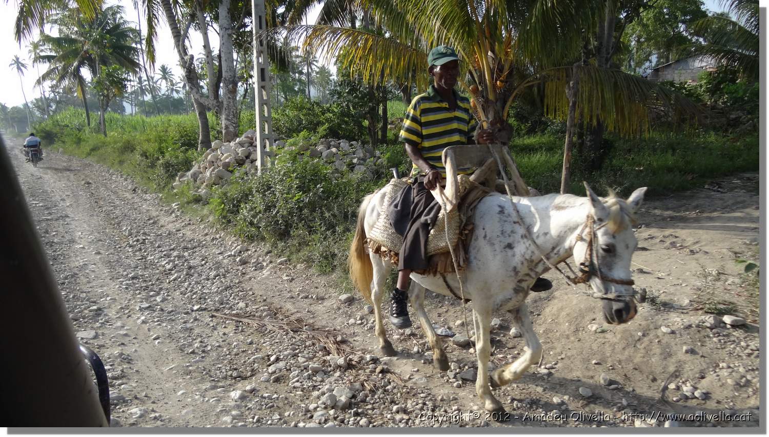 Haiti_JR_340.jpg