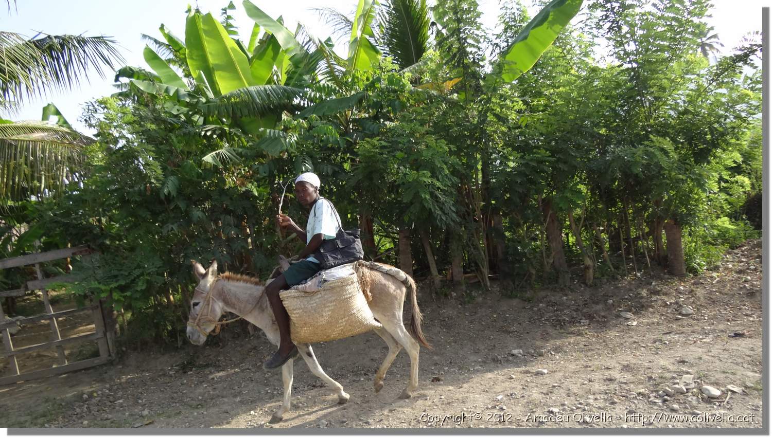 Haiti_JR_342.jpg