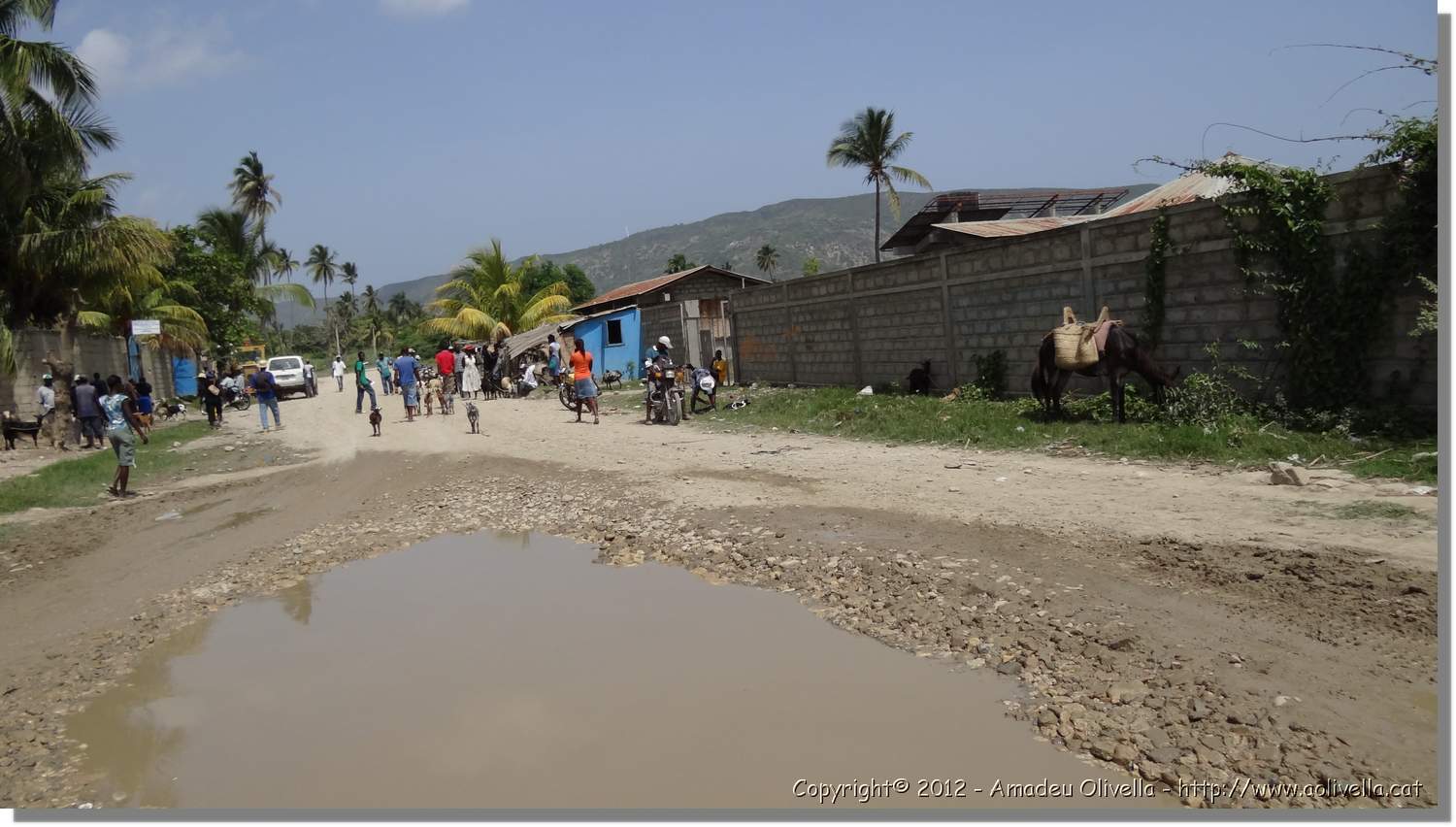 Haiti_JR_346.jpg
