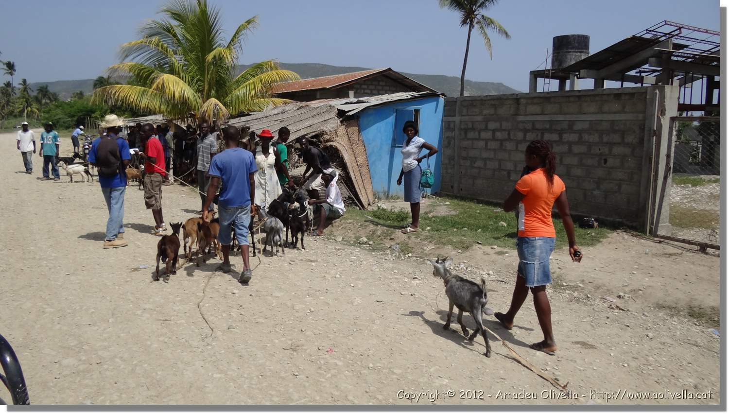 Haiti_JR_347.jpg