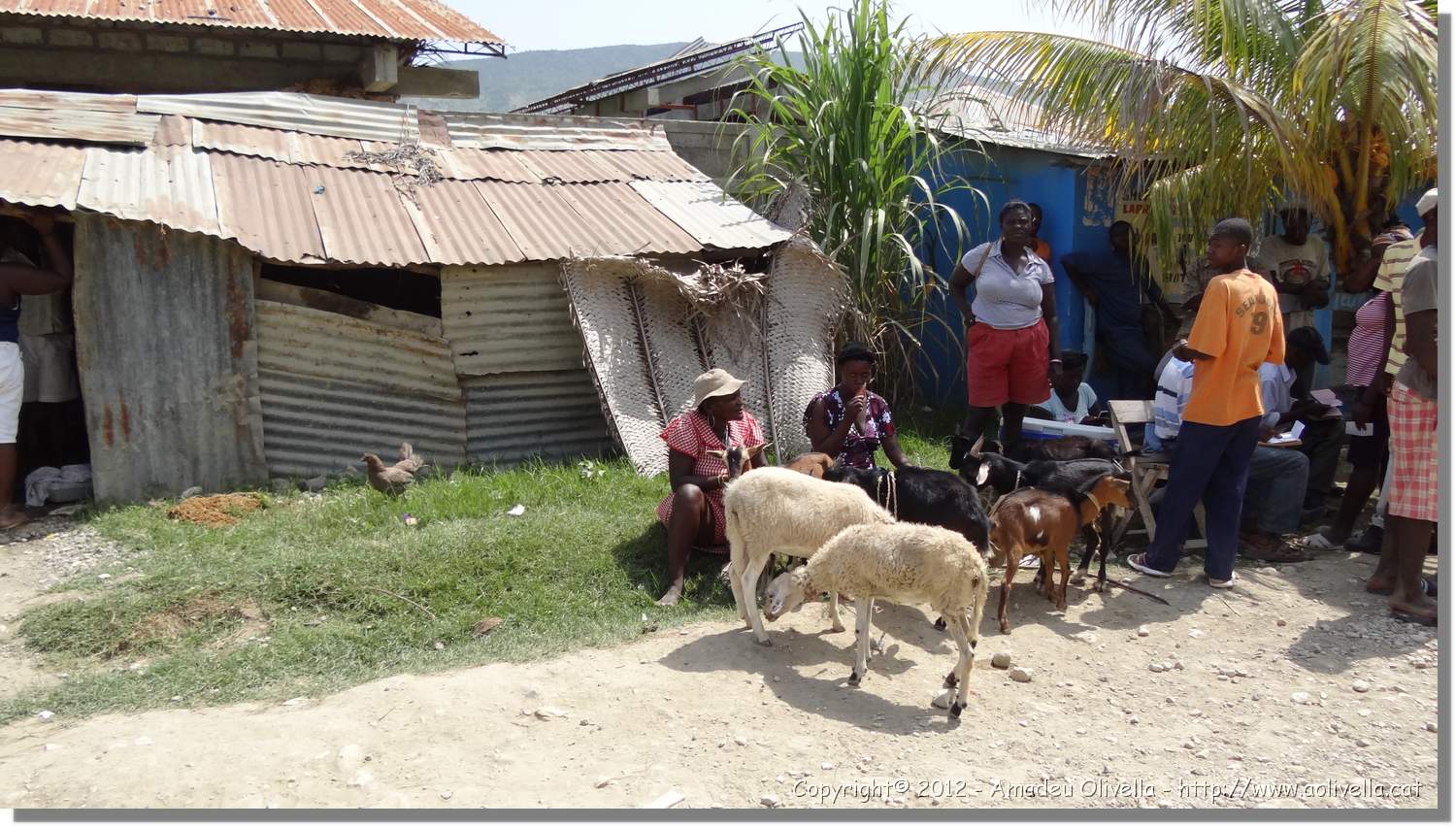Haiti_JR_348.jpg
