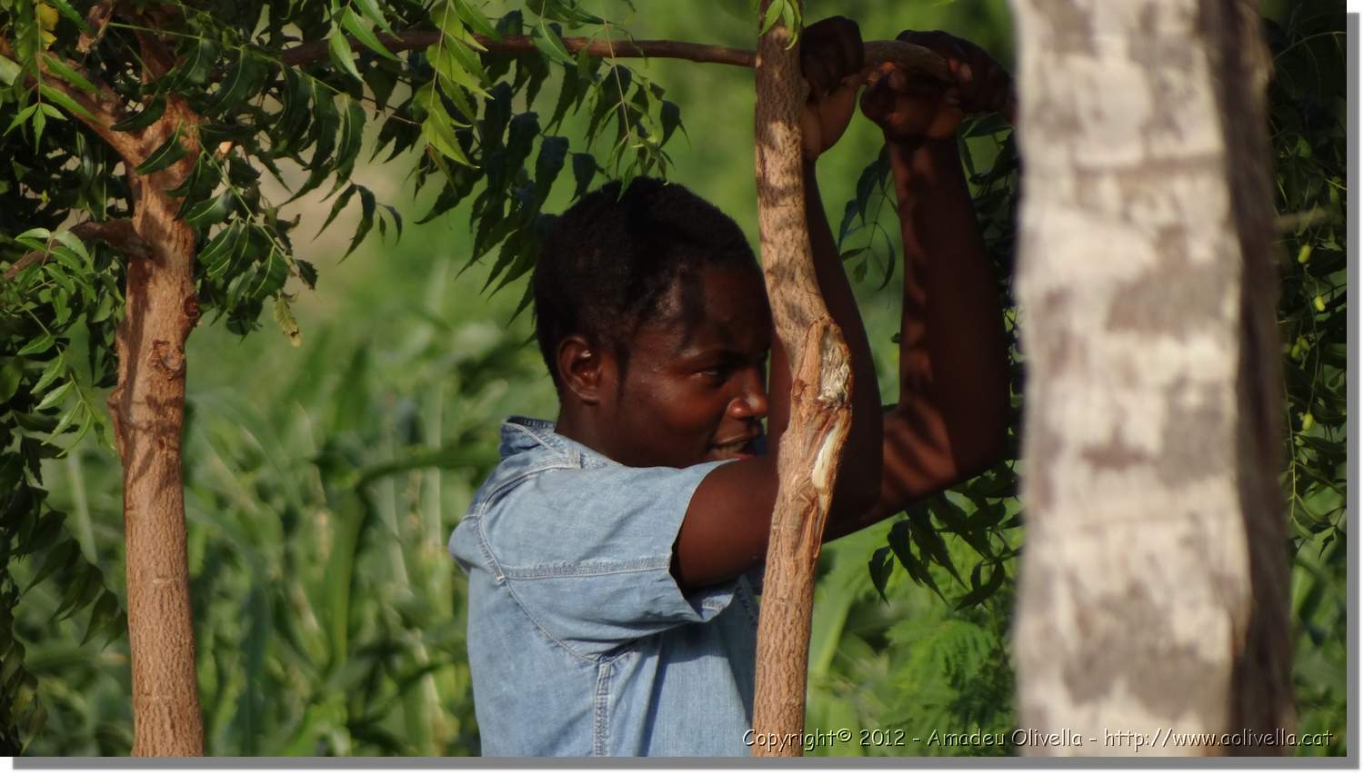 Haiti_JR_366.jpg