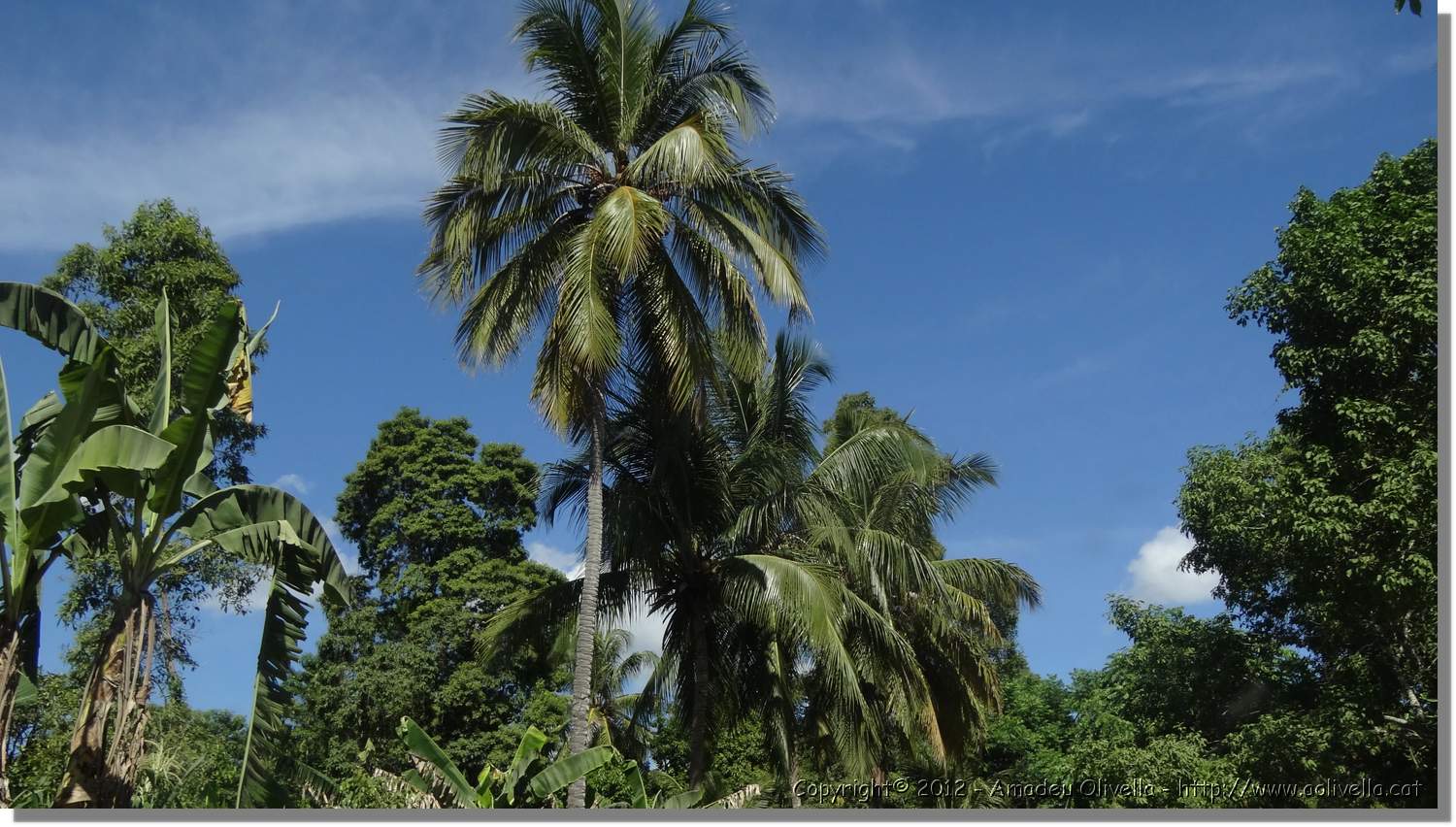 Haiti_JR_381.jpg