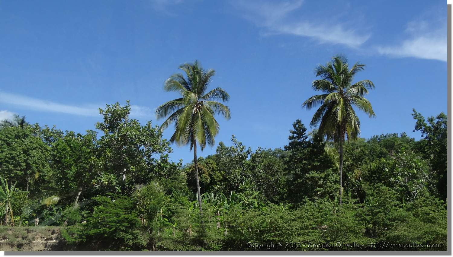 Haiti_JR_384.jpg