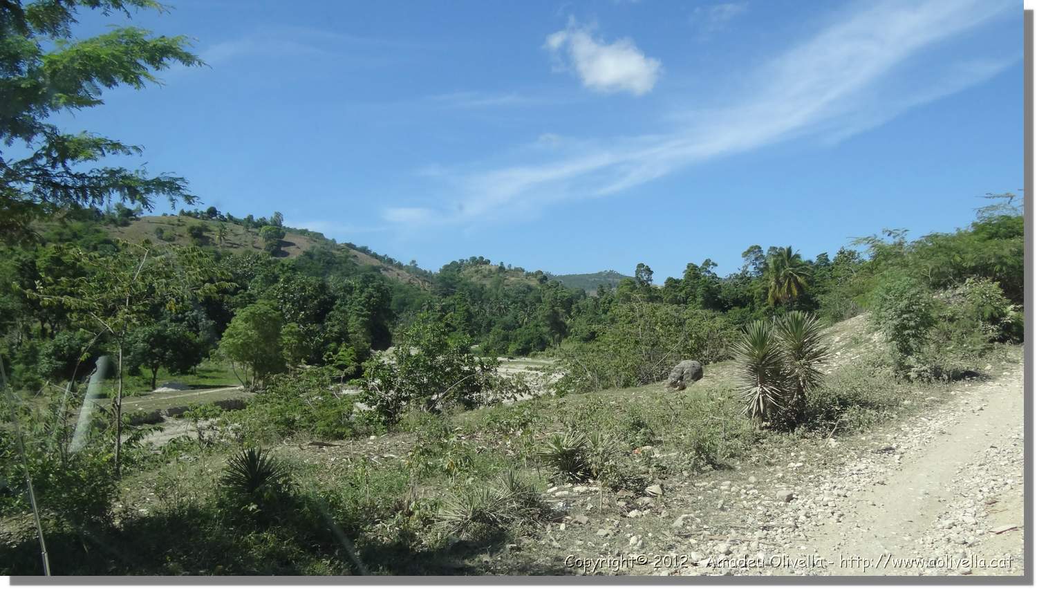 Haiti_JR_386.jpg