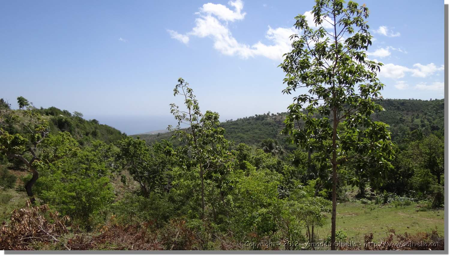 Haiti_JR_399.jpg