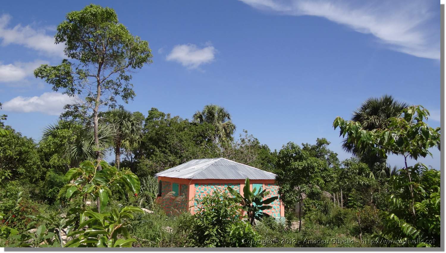 Haiti_JR_401.jpg
