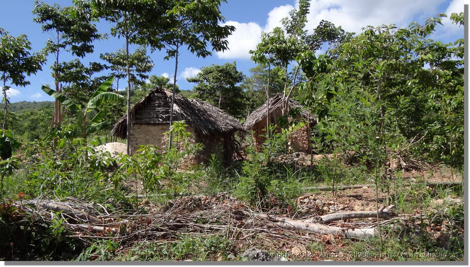 Haiti_JR_402.jpg