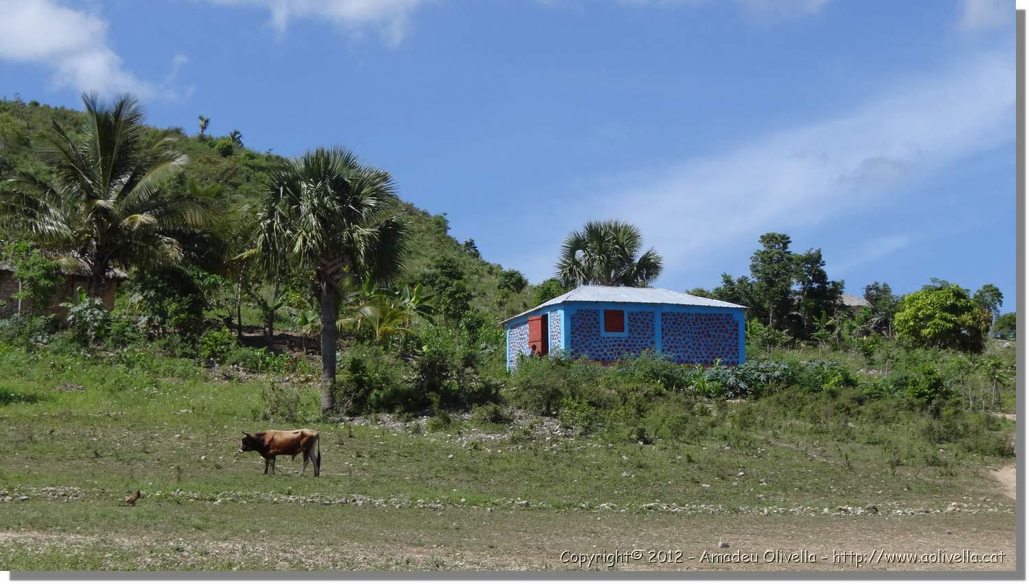 Haiti_JR_406.jpg