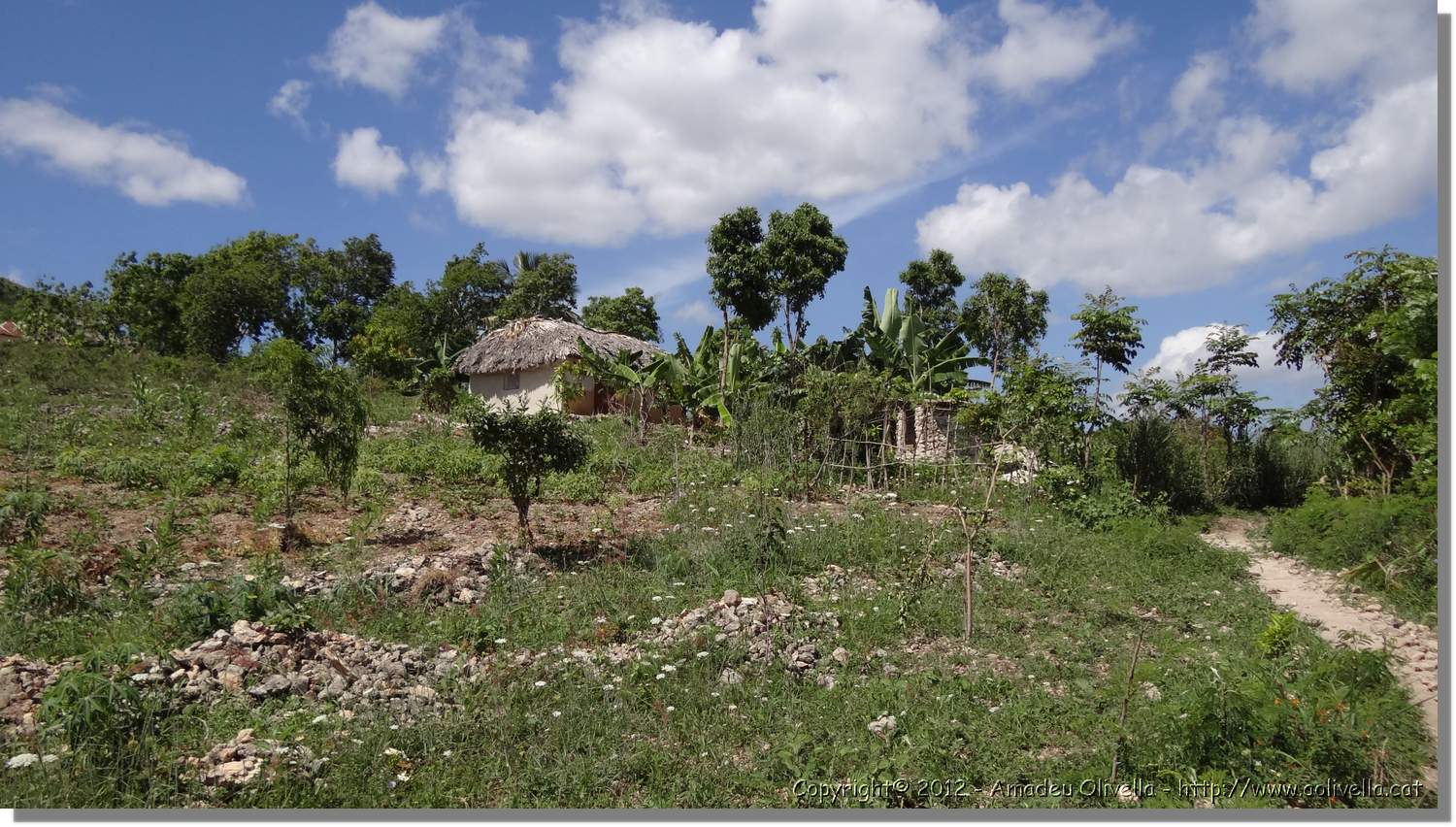 Haiti_JR_413.jpg