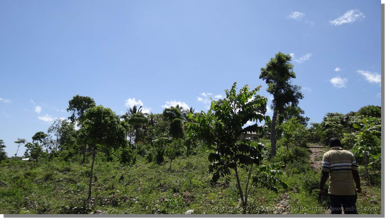 Haiti_JR_422.jpg