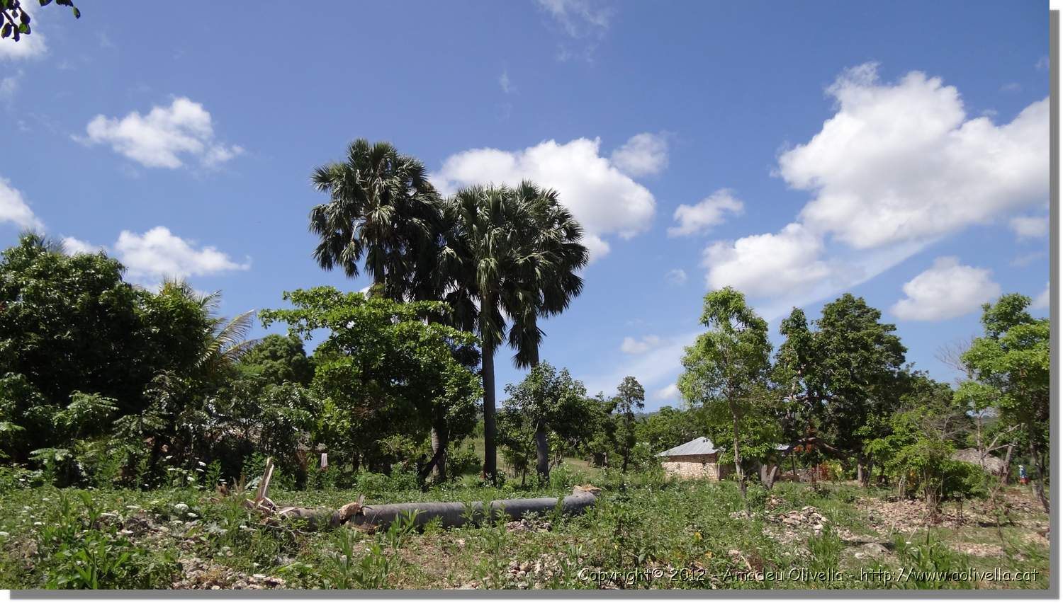 Haiti_JR_423.jpg
