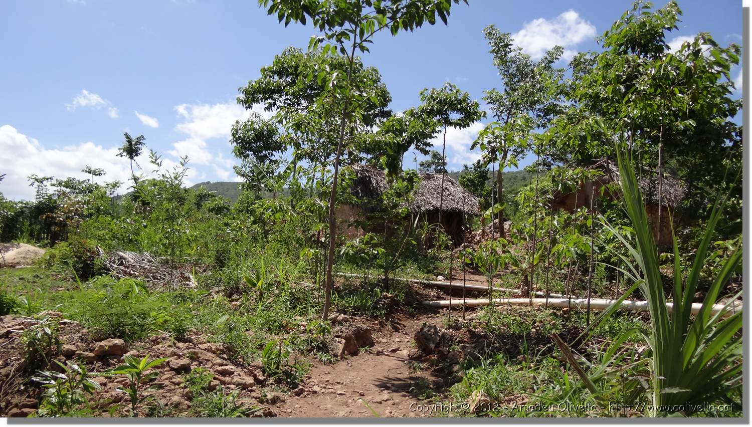 Haiti_JR_433.jpg