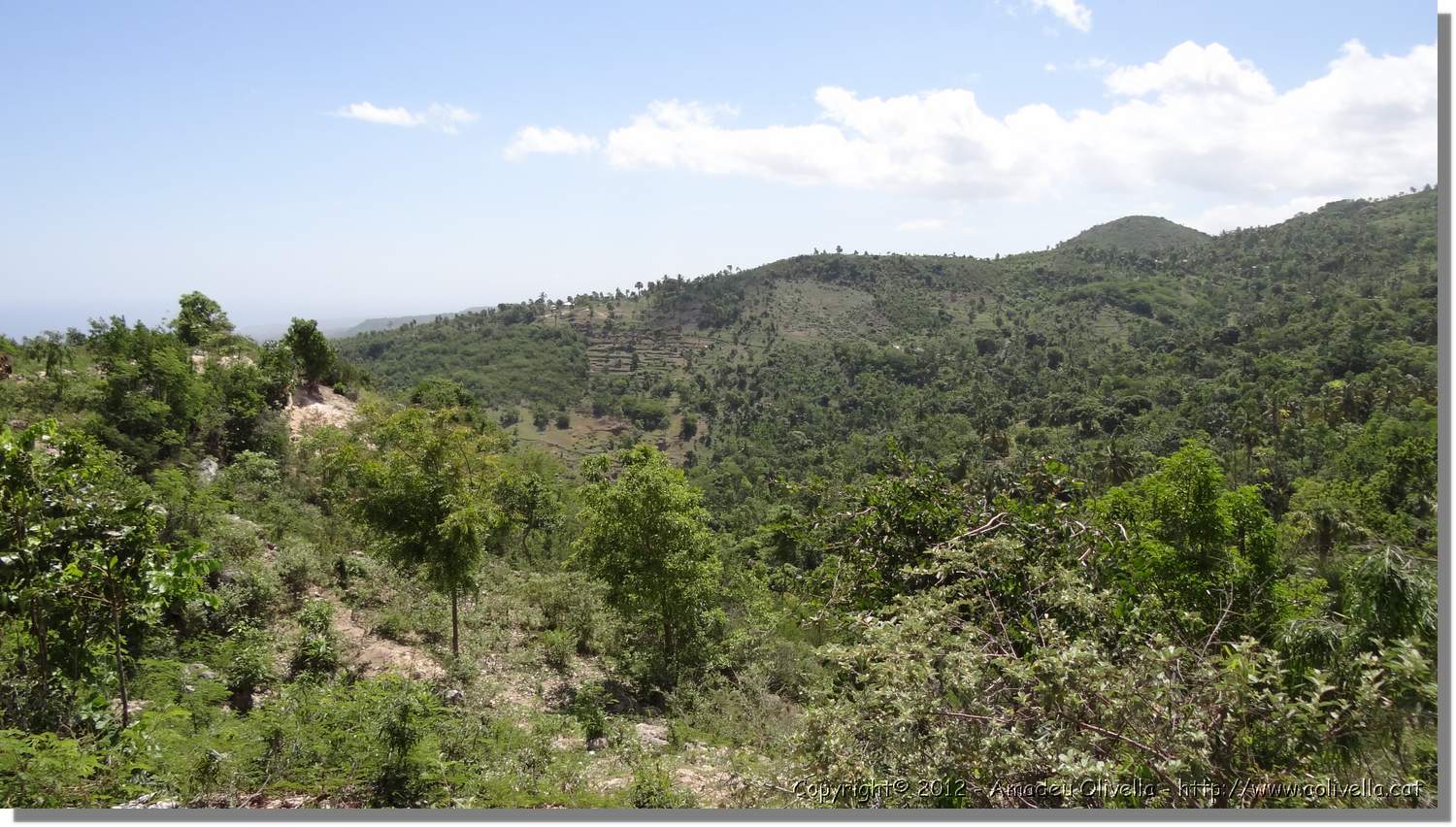 Haiti_JR_435.jpg