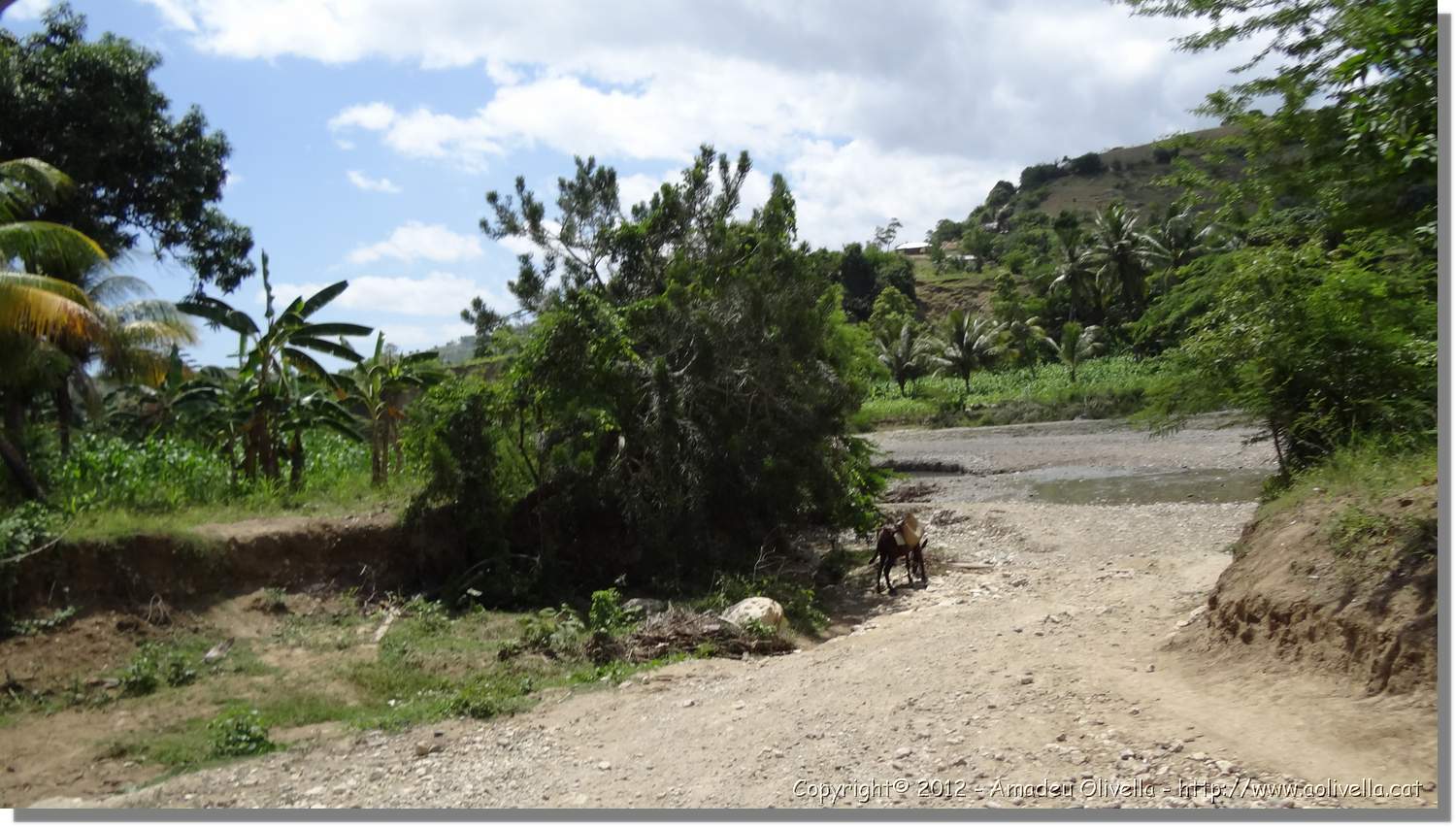 Haiti_JR_450.jpg