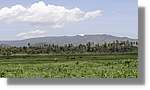 Haiti_JR_156.jpg