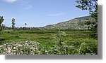 Haiti_JR_158.jpg