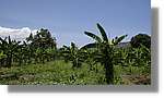Haiti_JR_160.jpg