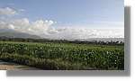 Haiti_JR_172.jpg