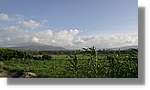 Haiti_JR_173.jpg