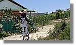 Haiti_JR_188.jpg