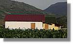 Haiti_JR_204.jpg