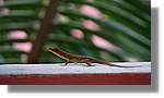 Haiti_JR_211.jpg