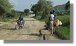 Haiti_JR_225.jpg