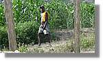 Haiti_JR_228.jpg