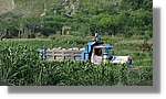 Haiti_JR_244.jpg