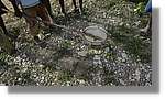 Haiti_JR_249.jpg