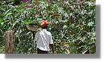 Haiti_JR_305.jpg