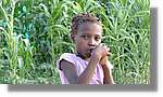 Haiti_JR_317.jpg