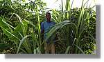 Haiti_JR_325.jpg